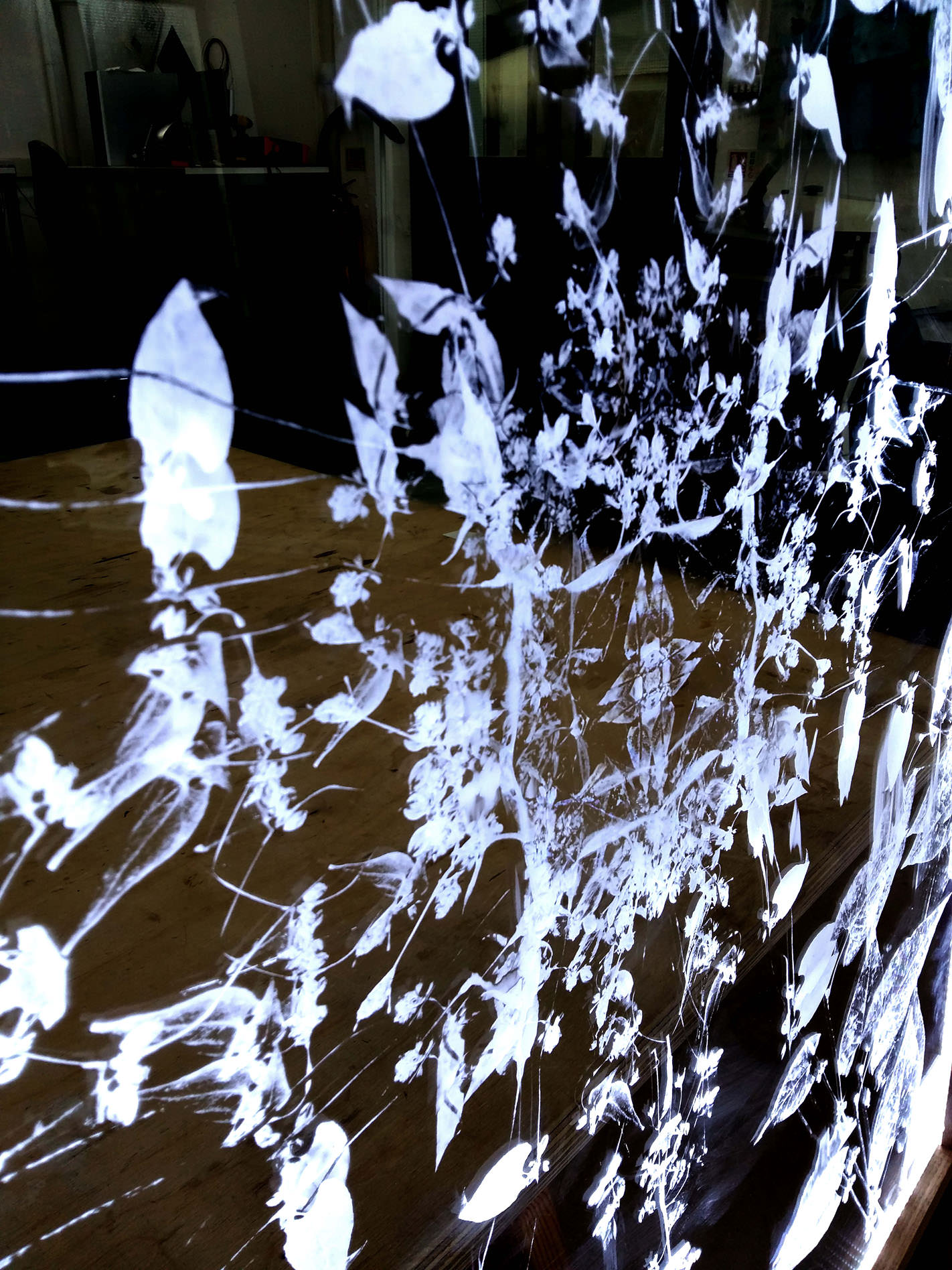 Photo of work on display