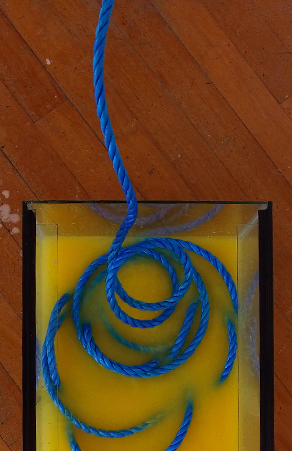 Photo of work on display