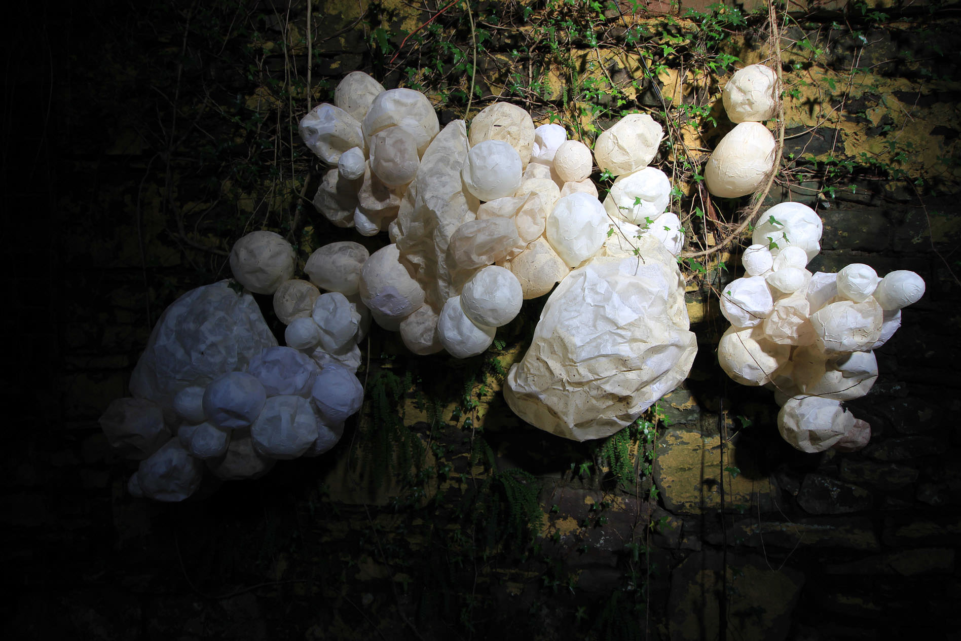 Photo of work on display