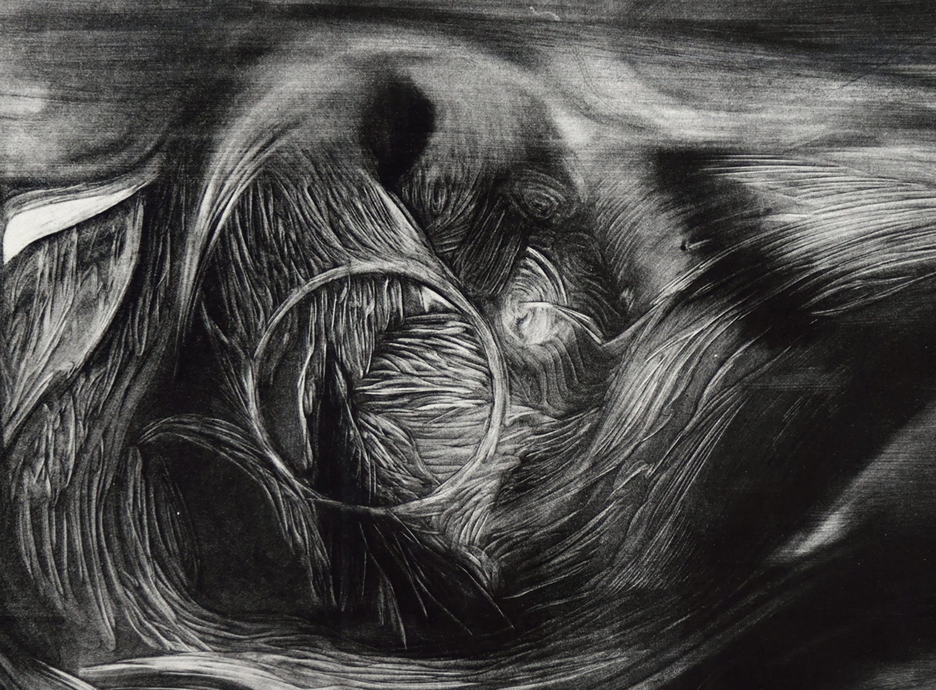 Photo of work on display