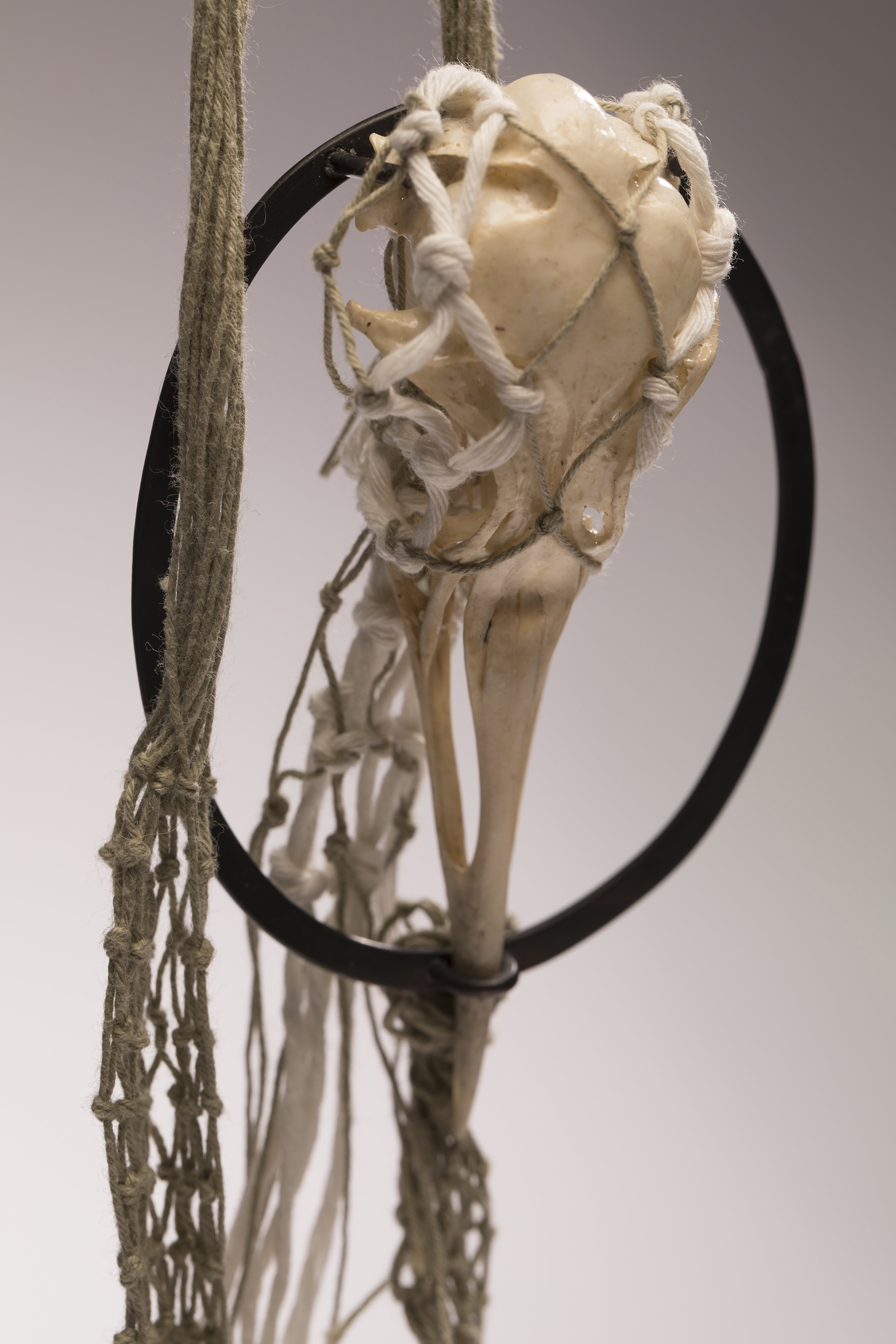 Photo of work on display