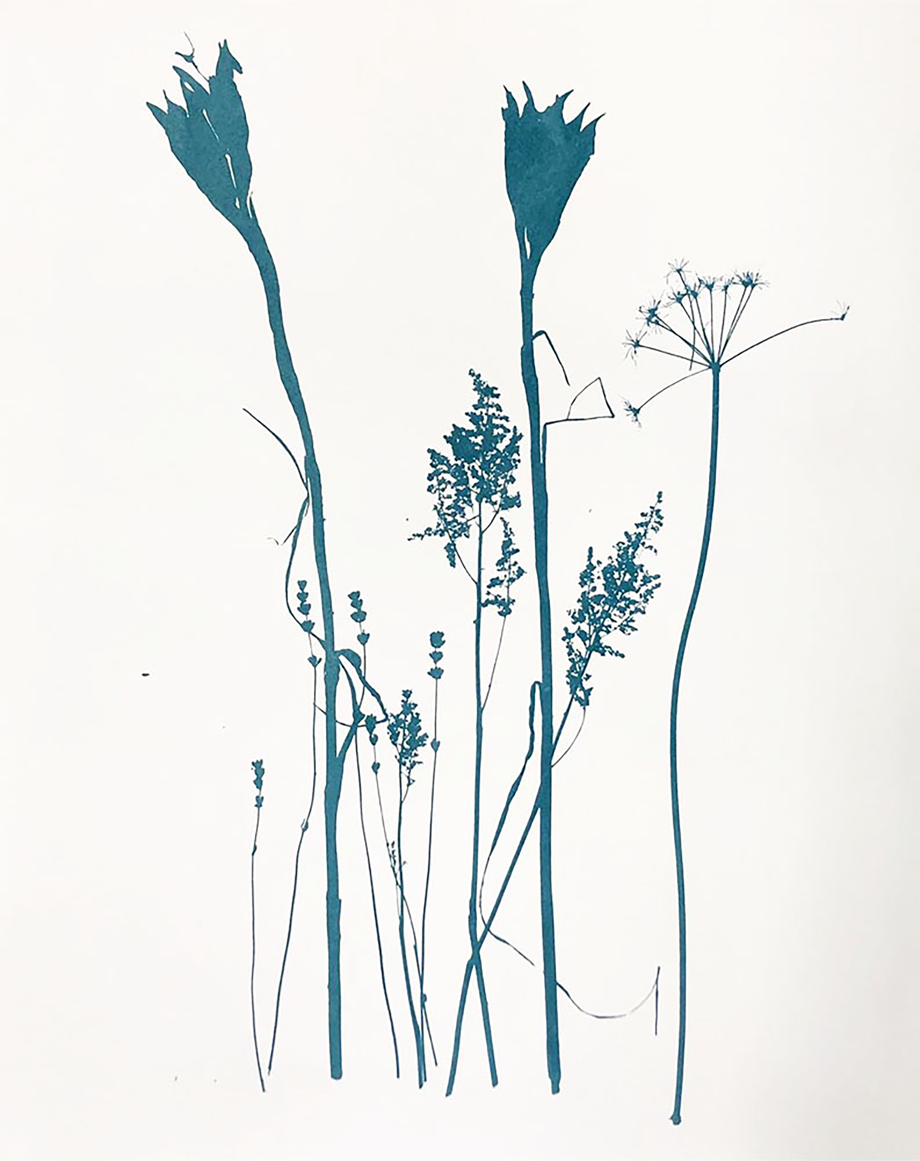 Photo of work on display