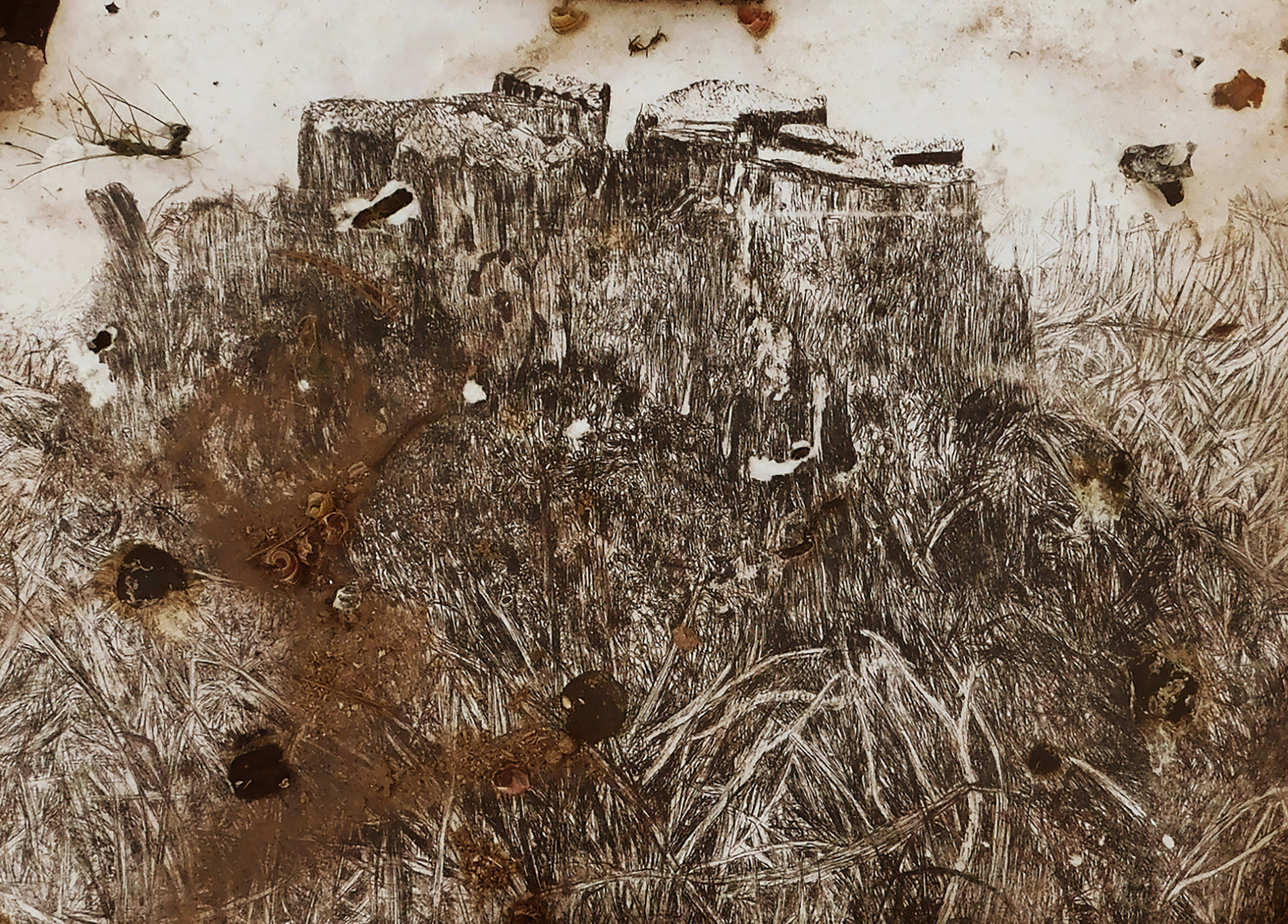 Photo of work on display