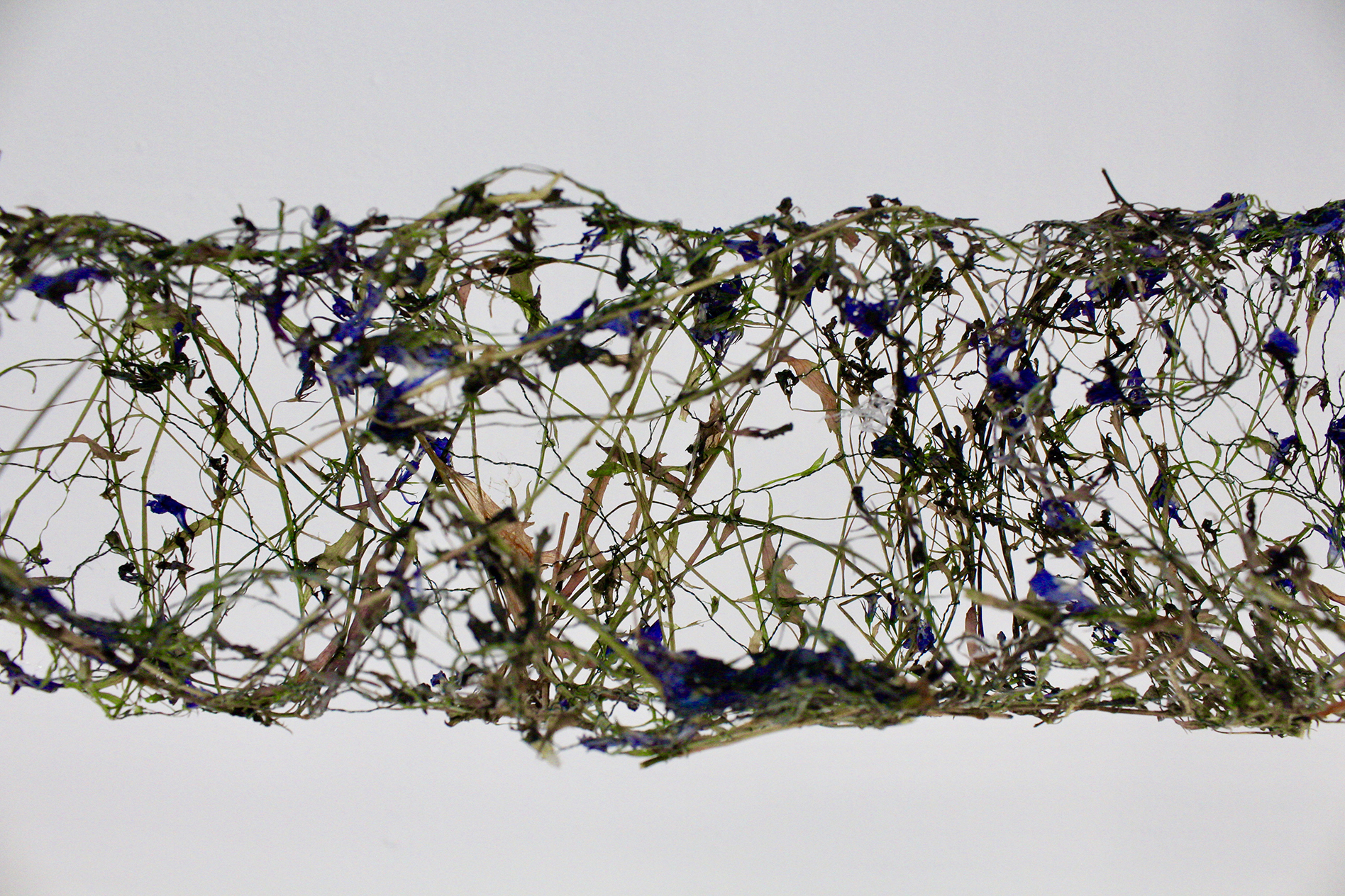 Photo of work on display