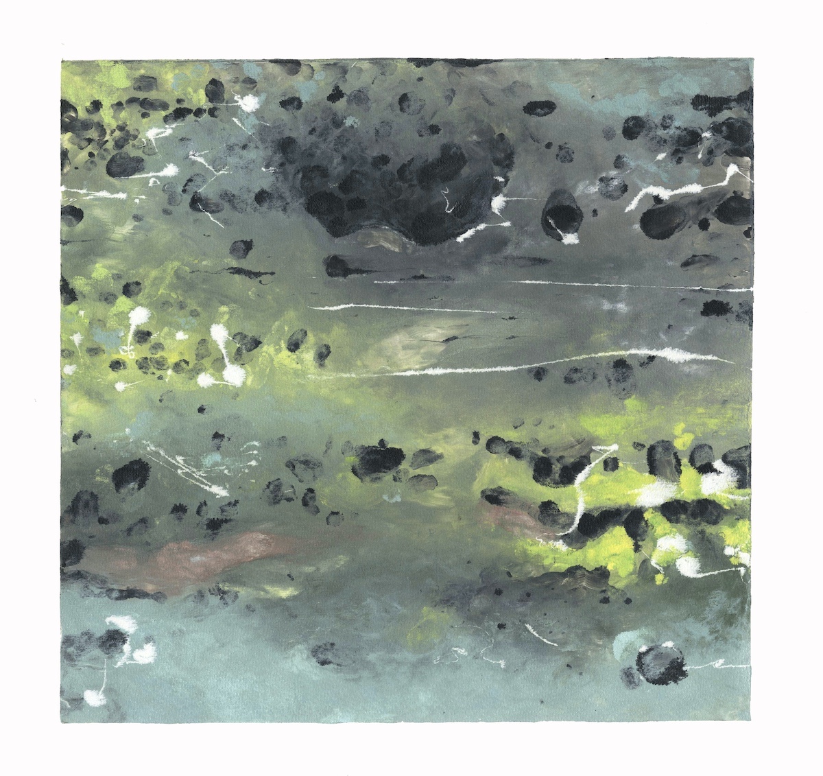 iva sedlackova's Work Image 4 iva sedlackova's Work Image 4