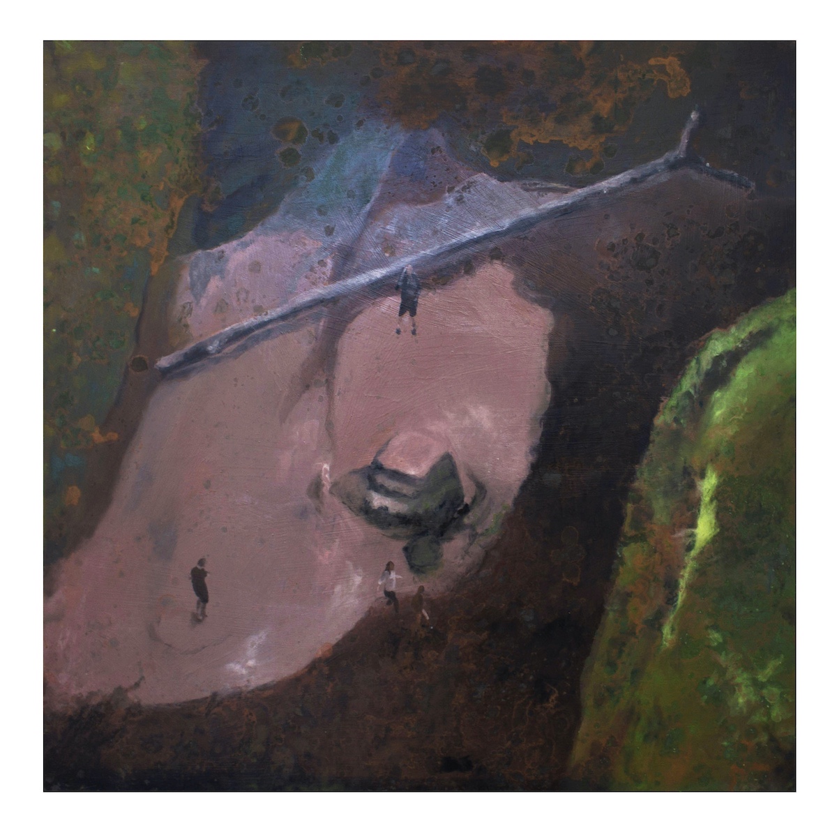 iva sedlackova's Work Image 7 iva sedlackova's Work Image 7