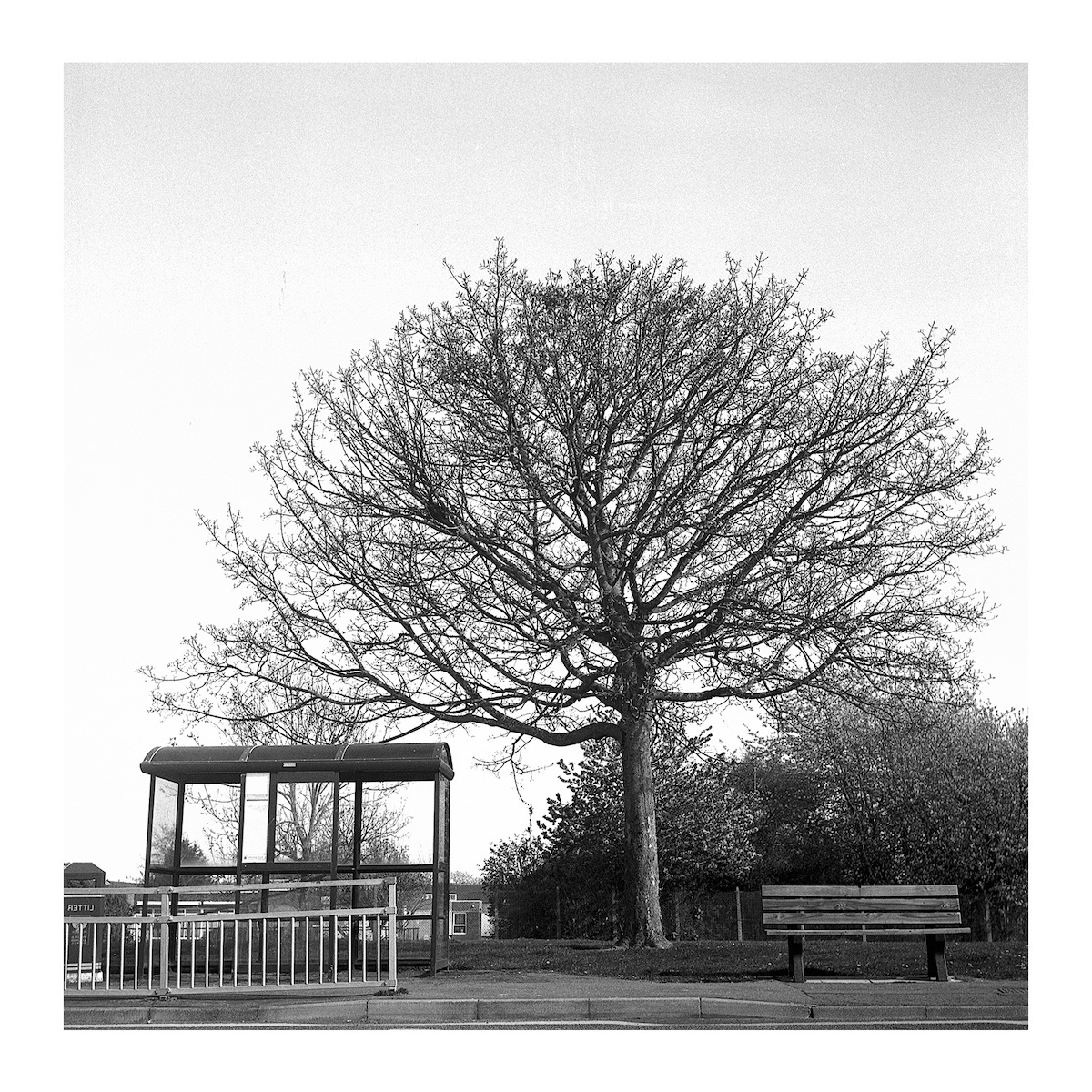kaya fraser's Work Image 2 kaya fraser's Work Image 2