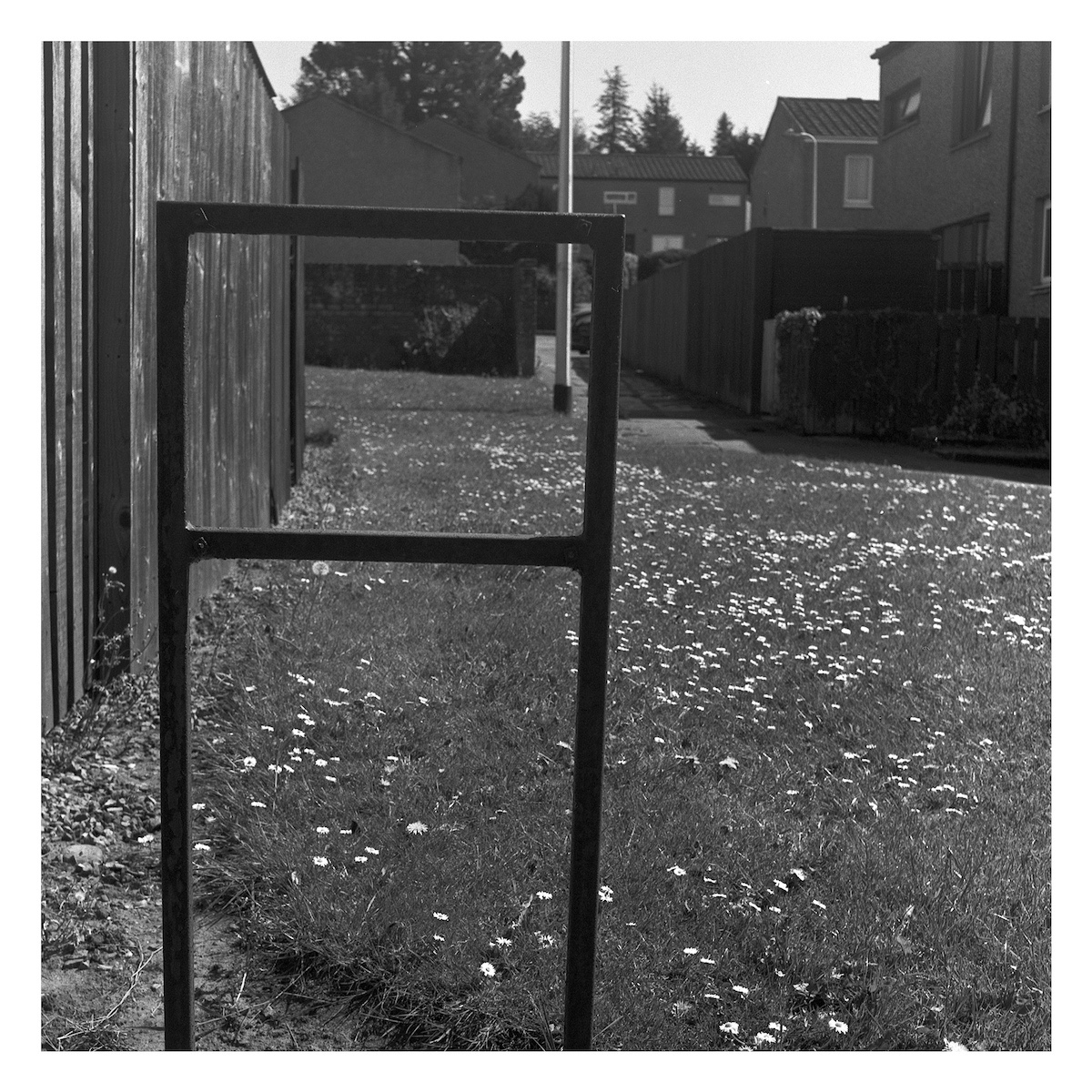 kaya fraser's Work Image 6 kaya fraser's Work Image 6