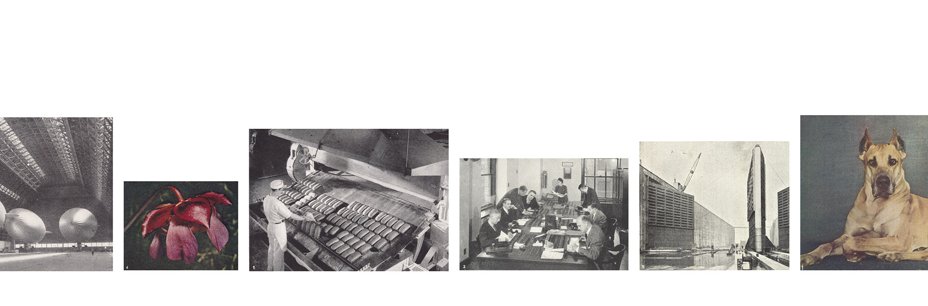 Photo of work on display