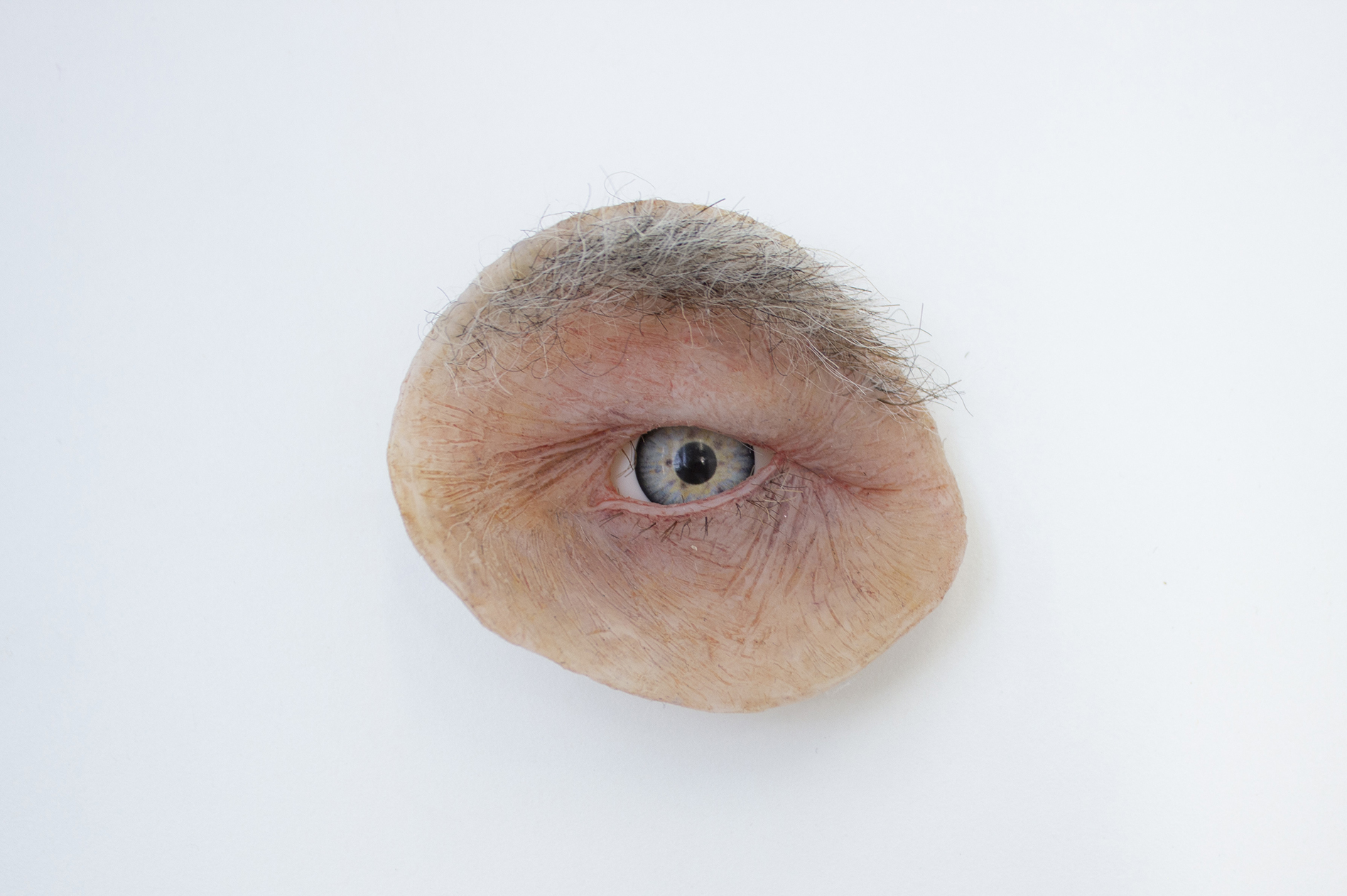 Photo of work on display