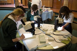 University scientists visit Fife primary pupils