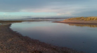 Sustainable Coasts’ - Tay Estuary Forum Annual Conference 2015