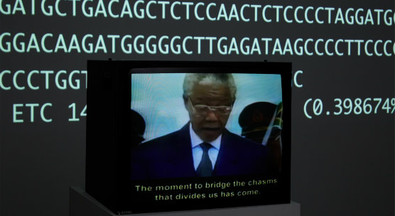 ‘Poetry Machine’ exploring the human genome project on view at the site of its decoding