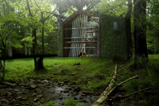 ‘Eco-treehouse’ could be future of home building