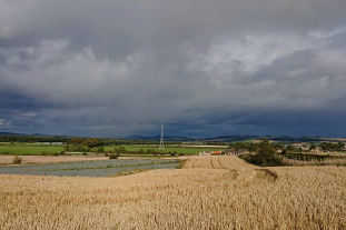 Climate specialists set to discuss drought in farmland Fife