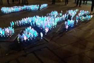 Illuminated lily garden to celebrate loved ones who have died